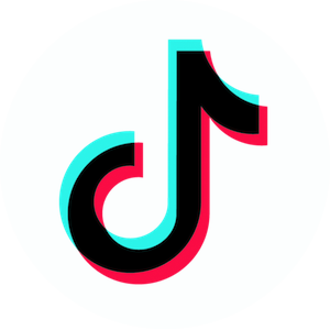 TikTok3 300x300
